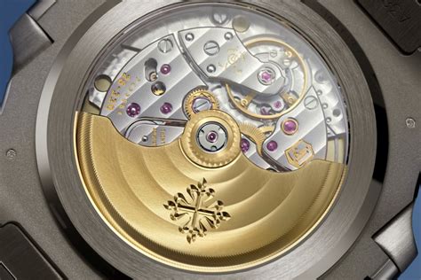 pp5811
